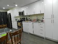 Walkout Bachelor/Studio HWY 7 & Dufferin (Thornhill) - Photo 2