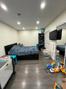 Walkout Bachelor/Studio HWY 7 & Dufferin (Thornhill) - Photo 7