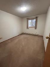 Massive 2-Bed Unit in Great Location - Photo 5