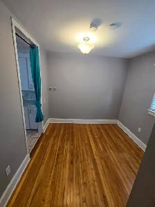 1 Bedroom Apartment  available Nov 1 in house close to Forum - Photo 3
