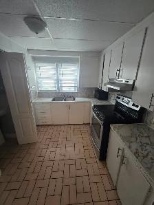 1 Bedroom Apartment  available Nov 1 in house close to Forum - Photo 5