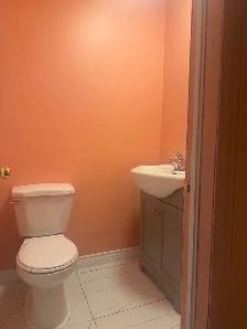 Renovation work