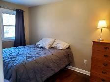 ENTIRE HOUSE FOR RENT | 20 Hyde Street, Kingston - Photo 6