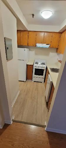 ONE bedroom Apartment for RENT - Clayton Park - Photo 4