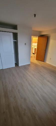 ONE bedroom Apartment for RENT - Clayton Park - Photo 5