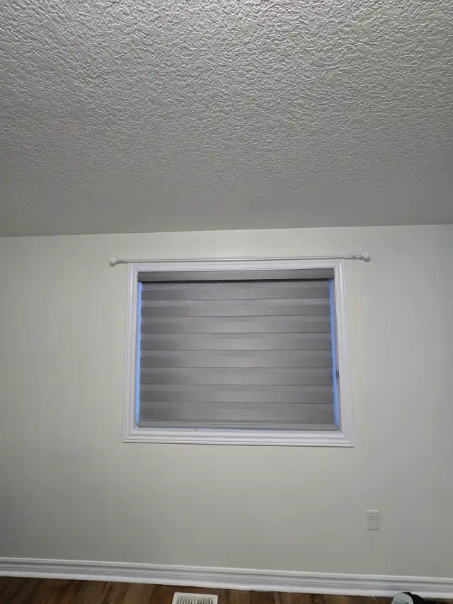 Voice Activated Window Shades