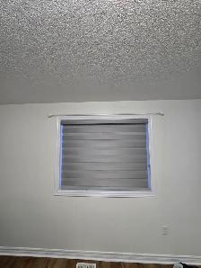 Voice Activated Window Shades