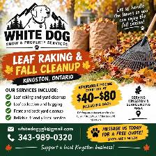 LEAF RAKING & FALL CLEANUP —  YGK  Done for Monda