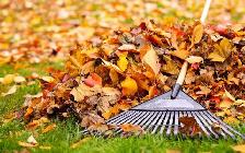 LEAF RAKING & FALL CLEANUP —  YGK  Done for Monda - Photo 2