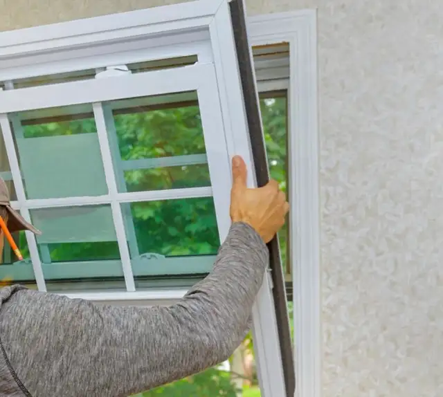 windows!
