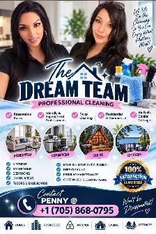 DreamTeam Cleaners