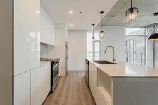 Vue du Fleuve Brossard – River Views, W/D, Studio to 3BR - Photo 4