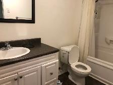 SPACIOUS FURNISHED ROOM AVAILABLE  NOW IN LARGE HOUSE, NEW CONST - Photo 2