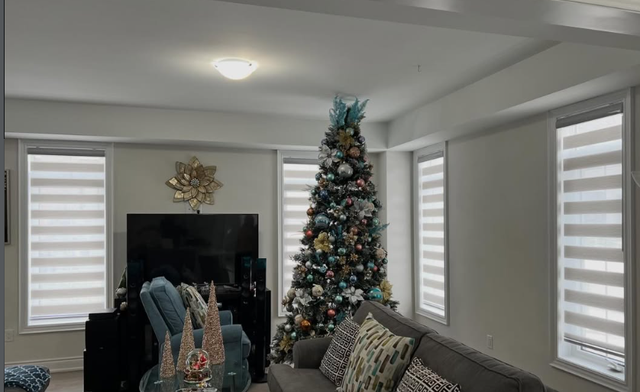 Zebra Blinds. Modern. Simple. Beautiful.