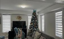 Zebra Blinds. Modern. Simple. Beautiful.