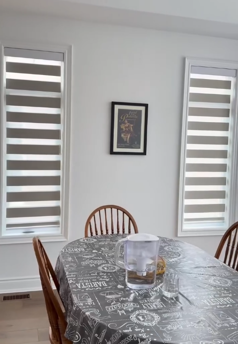 Elevate Your Space with Zebra Blinds.