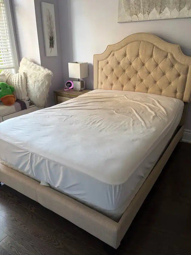 Full/Doubke bed   mattress and box spring