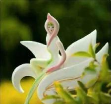 Nice place for good massage