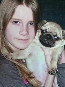 Adorable pug puppies - Photo 2
