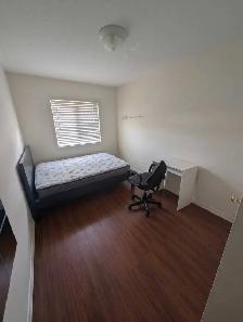 Room for Rent - YorkU Village (private washroom)