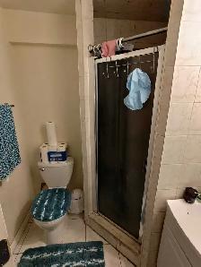 Room for Rent - YorkU Village (private washroom) - Photo 5