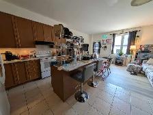 Room for Rent - YorkU Village (private washroom) - Photo 6