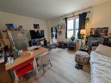 Room for Rent - YorkU Village (private washroom) - Photo 7