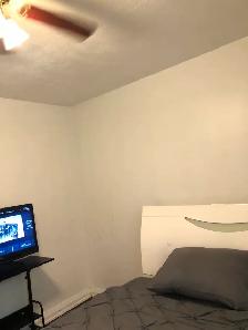 Gorgeous and Furnished Main Floor Room in Scarborough for Rent - Photo 11