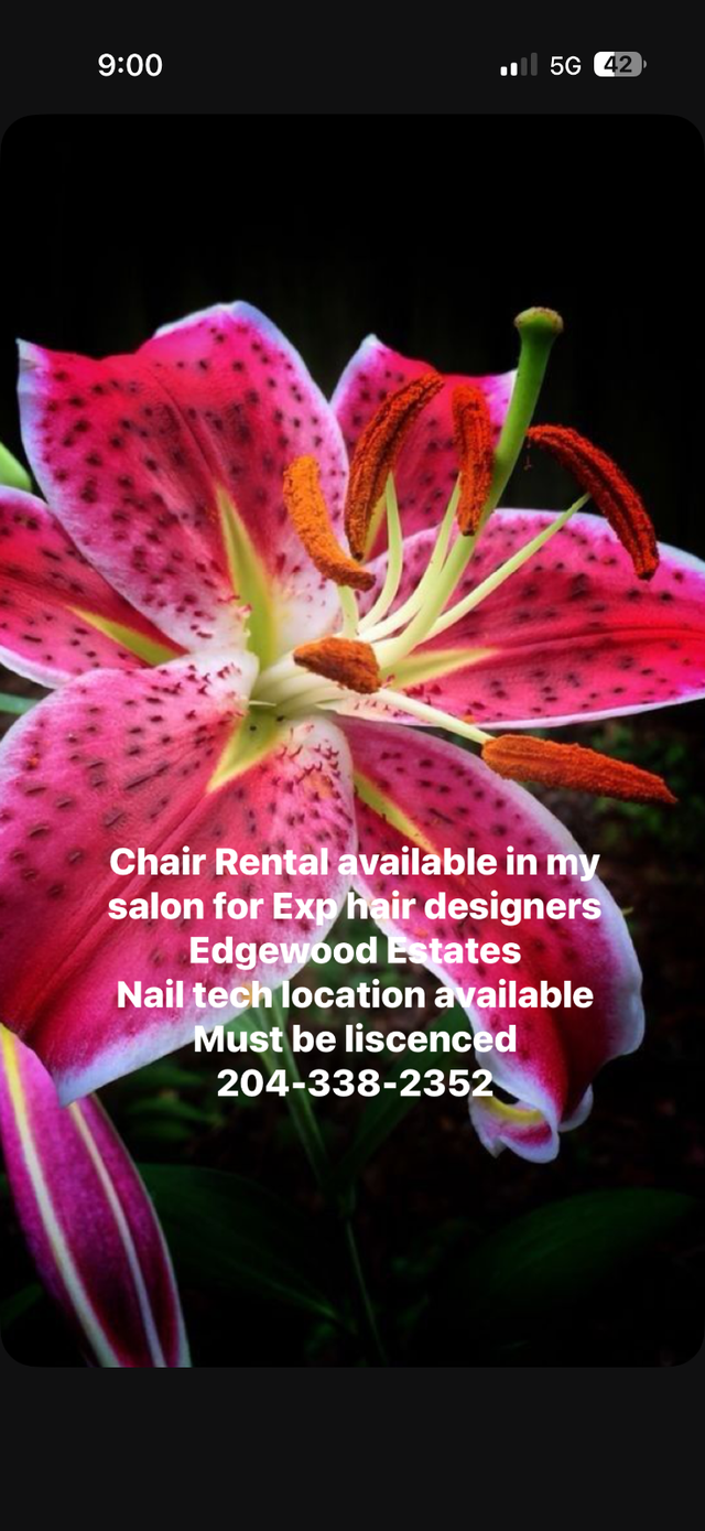 Blue lotus Hair Salon Chair rental- Nail tech wanted as well