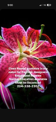 Blue lotus Hair Salon Chair rental- Nail tech wanted as well