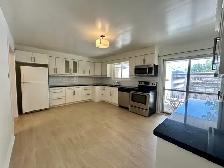 ALL UTILITIES INCLUDED Spacious Main Floor in Niagara Falls! - Photo 12