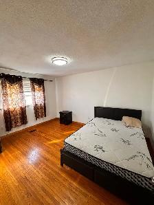 BUNGLOW ( 3 BHK UPPER FLOOR) FIR RENT IN MALTON - Photo 3