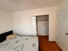 BUNGLOW ( 3 BHK UPPER FLOOR) FIR RENT IN MALTON - Photo 4