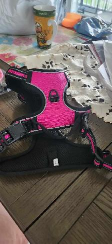 Harnais pour chien gr small et laisse 30$