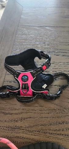 Harnais pour chien gr small et laisse 30$ - Photo 3