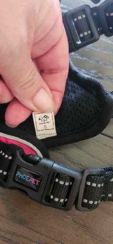 Harnais pour chien gr small et laisse 30$ - Photo 4