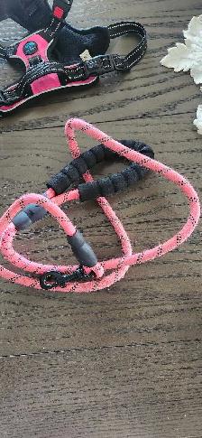 Harnais pour chien gr small et laisse 30$ - Photo 5