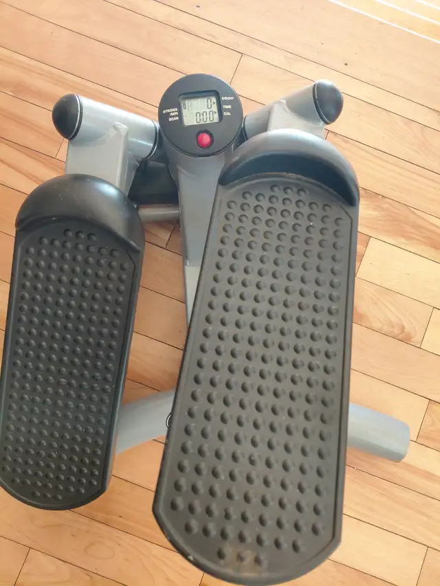 Mini-stepper