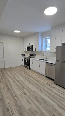 Immediately Available for Rent - Photo 3