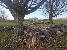 Firewood - Seasoned - 5 Bush Cord - Mixed Hardwoods - Photo 4