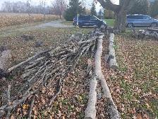 Firewood - Seasoned - 5 Bush Cord - Mixed Hardwoods - Photo 5
