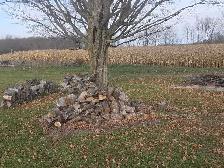 Firewood - Seasoned - 5 Bush Cord - Mixed Hardwoods - Photo 7