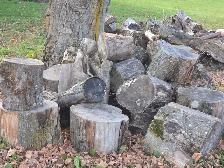 Firewood - Seasoned - 5 Bush Cord - Mixed Hardwoods - Photo 9