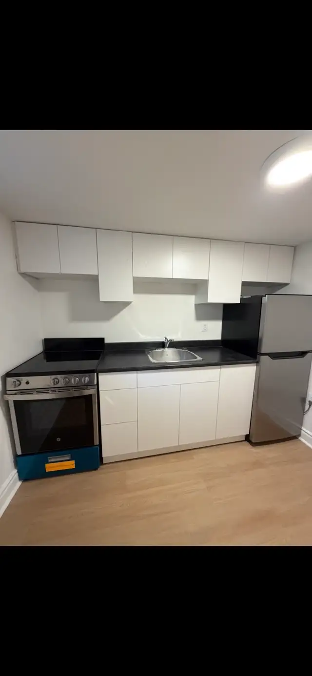 High Park Blvd-Roncesvalle Newly Renovated Junior 1 Bdrm Nov 1st
