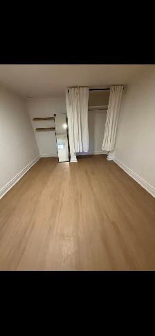 High Park Blvd-Roncesvalle Newly Renovated Junior 1 Bdrm Nov 1st - Photo 4