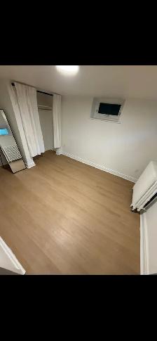 High Park Blvd-Roncesvalle Newly Renovated Junior 1 Bdrm Nov 1st - Photo 5