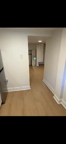 High Park Blvd-Roncesvalle Newly Renovated Junior 1 Bdrm Nov 1st - Photo 6