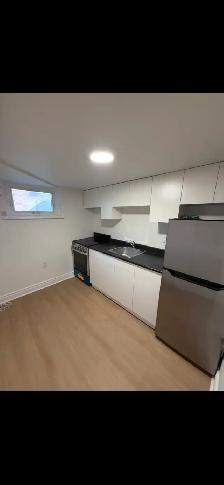 High Park Blvd-Roncesvalle Newly Renovated Junior 1 Bdrm Nov 1st - Photo 7