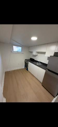 High Park Blvd-Roncesvalle Newly Renovated Junior 1 Bdrm Nov 1st - Photo 8