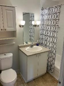 Spacious 1 bedroom apartment available for November 1 - Photo 3